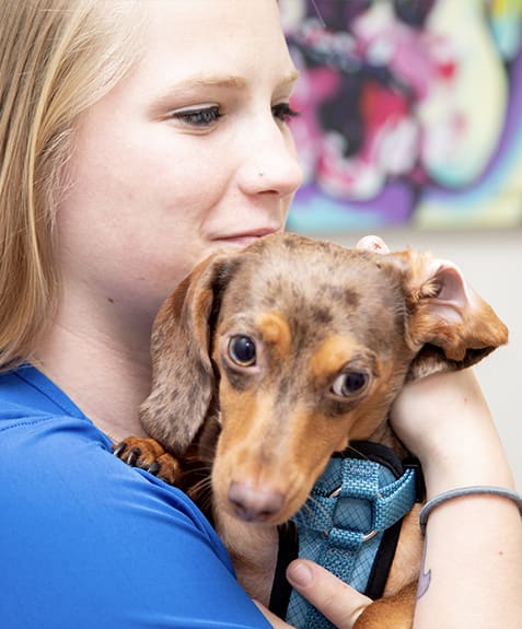 Carers | Germantown Parkway Animal Hospital