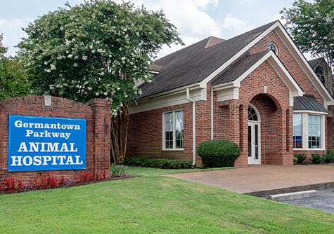 Germantown Parkway Animal Hospital