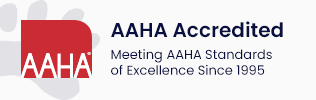 AAHA Accredited